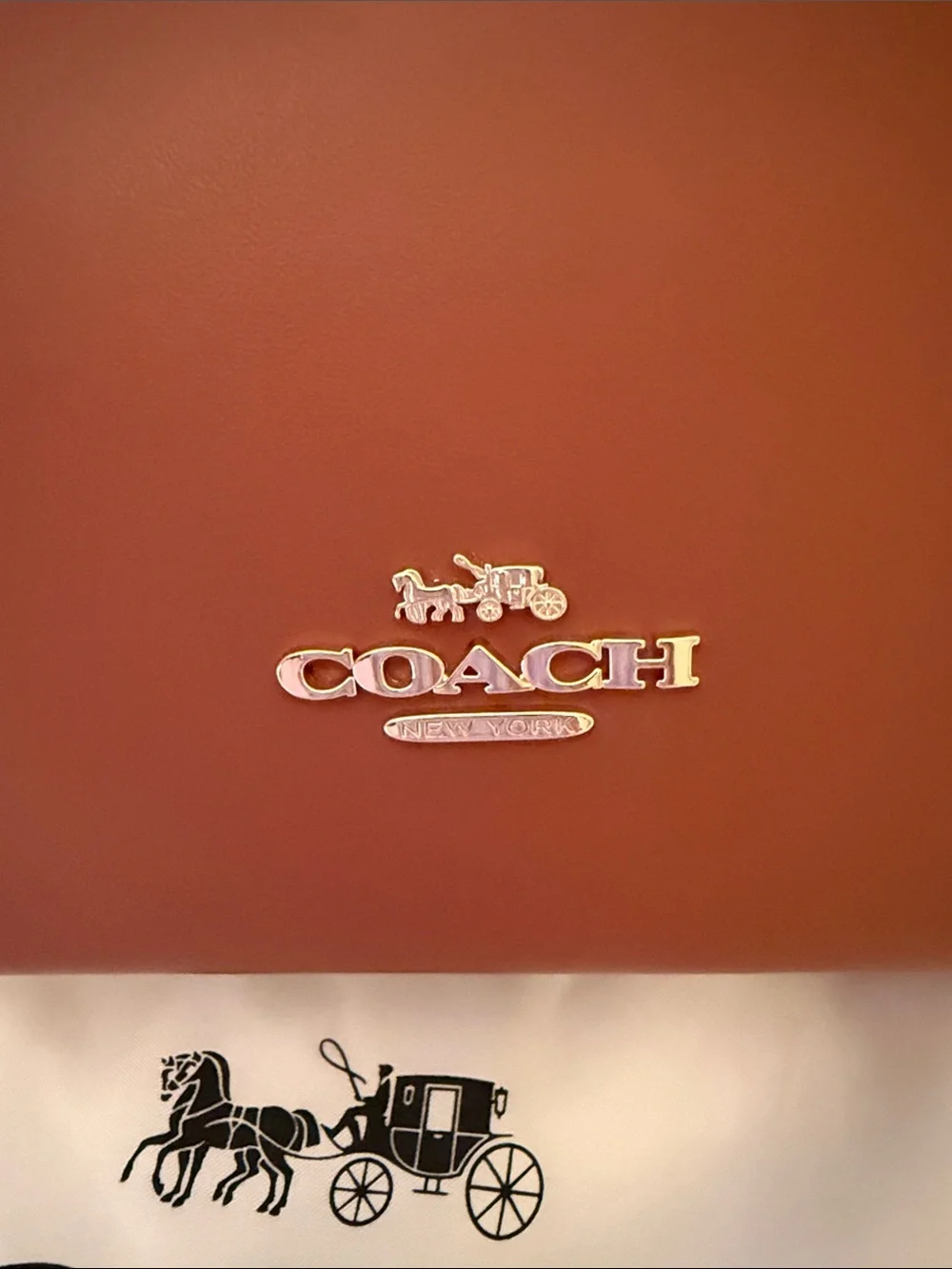🤎Coach NWT Honey Brown Leather Hadley TurnLock Mini Crossbody with Gold Hardware - Picture 5 of 9